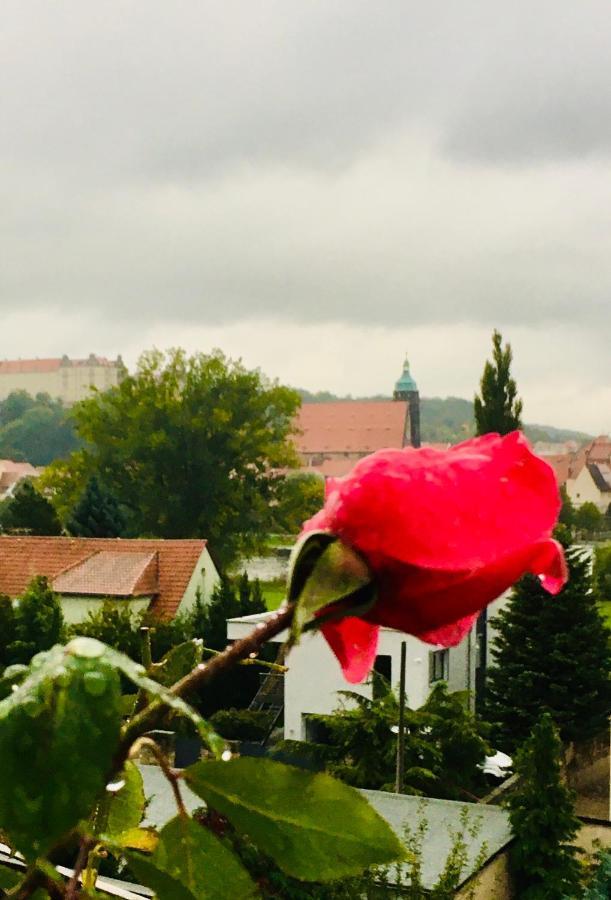Pirna-panorama *